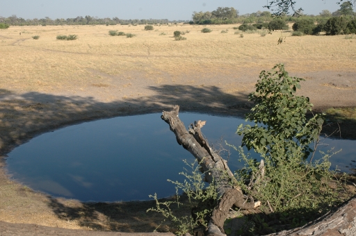 Savuit water hole 2 